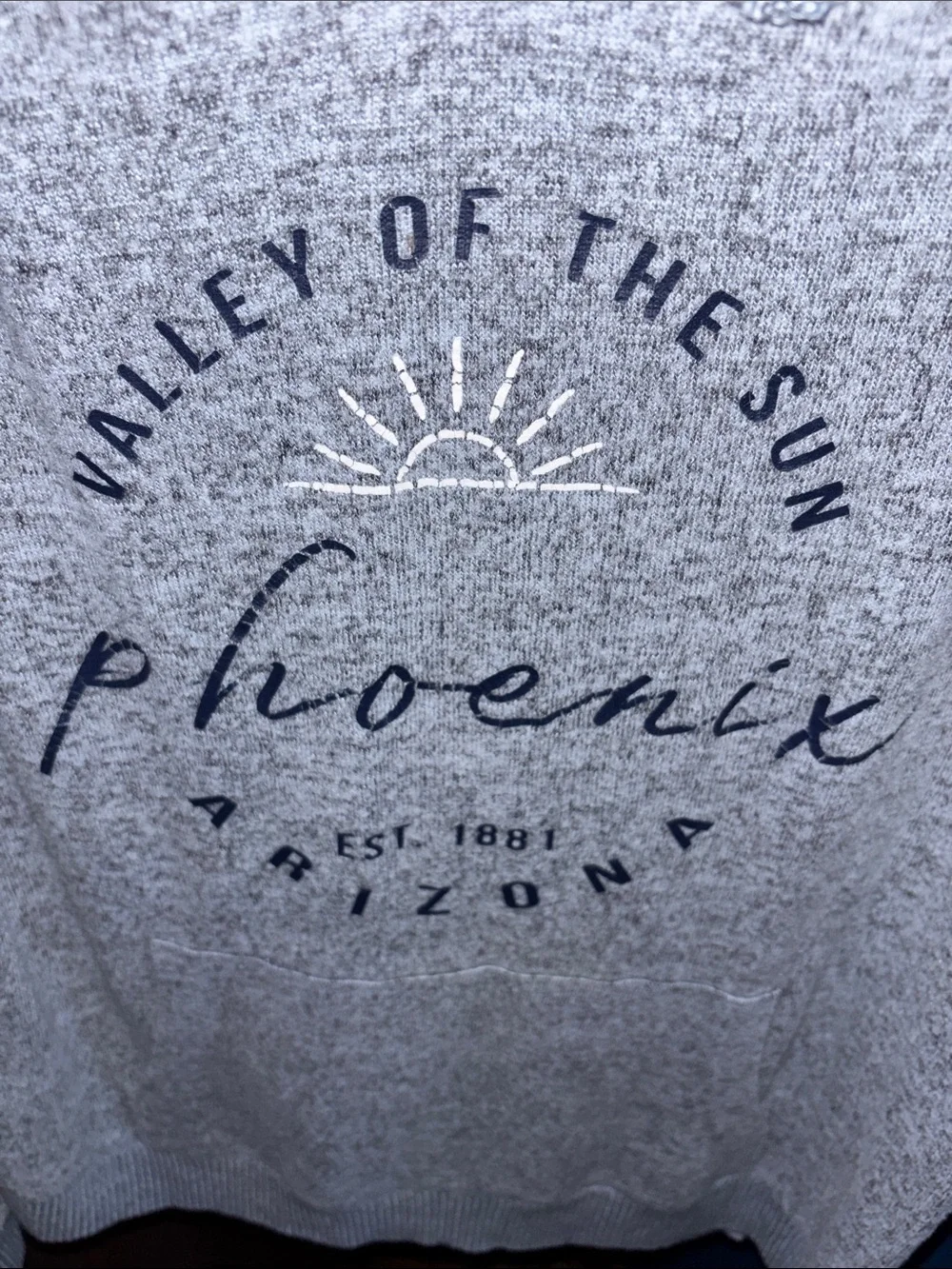 Ocean Drive Gray Phoenix Graphic Hoodie Sweatshirt - Picture 12 of 12